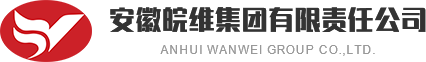 安徽皖维集团有限责任公司